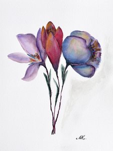 Kleurrijke aquarelbloemen