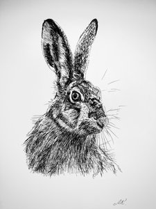 Tekening van een nieuwsgierig konijn