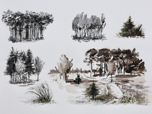 Studies van bosbomen