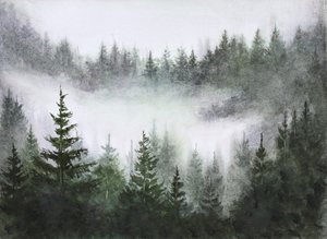 Rust van het mistige bos