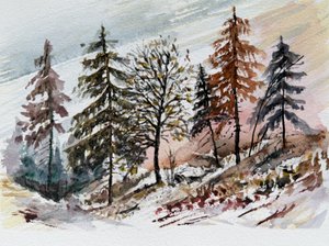 Besneeuwde bosdageraad