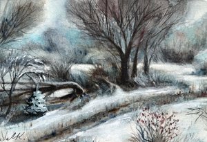 Besneeuwd winterpad