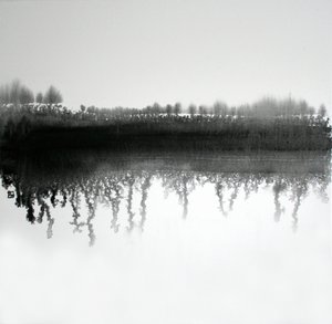 Monochrome bosweerspiegeling door Marina Nelson