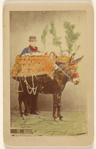 [Ongeïdentificeerde man met muilezel die manden met eten draagt]. door Marittima