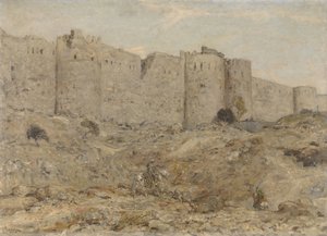 Stadsmuur in India door Marius Bauer