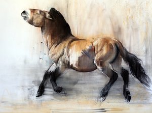 Oud Paard (Przewalski in de Winter), 2014