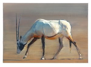 Arabische Oryx, 2010 door Mark Adlington