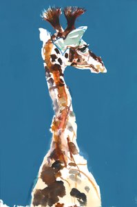 Baby Masai Giraffe door Mark Adlington