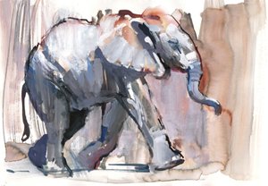 Baby olifant, 2012