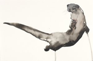 Terugspoelen (Otter)