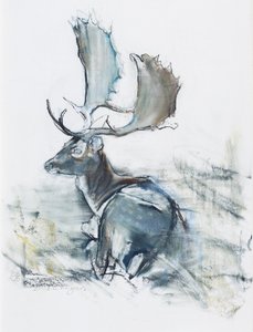 Hert in het Gras door Mark Adlington