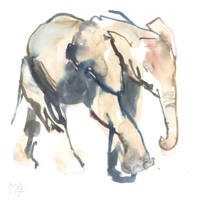 Olifantenkalf, Loisaba, 2017