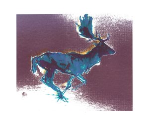 Damhert (blauwgele schaduw), 2015 door Mark Adlington