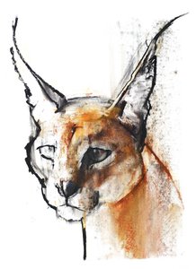 Feline (Arabische Karakal), 2009 door Mark Adlington