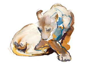 Feline verf (leeuwin), 2020