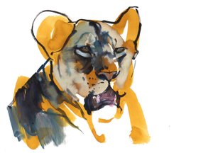 Felle Moeder, 2019