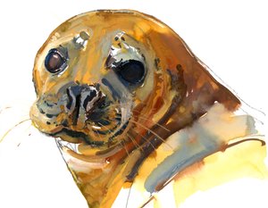 Gember pup, Westcove door Mark Adlington