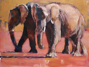 Hitte, Ol Pejeta door Mark Adlington