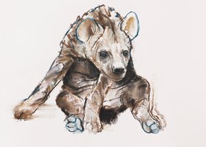 Hyena welp (hoofd naar beneden)