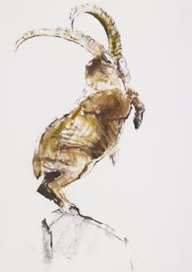 Koning van de berg, 2005 door Mark Adlington