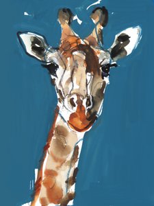 Masai Giraffe