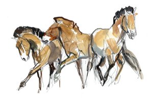 Mistral Drie (Przewalski)