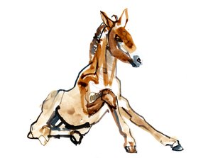 Oker Veulen (Przewalski), 2013