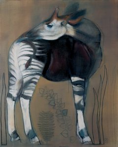 Okapi, 2005