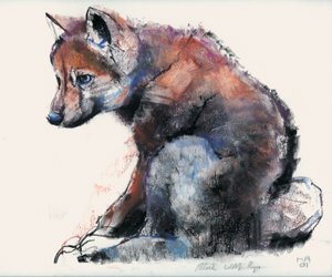 Poolse wolfspup, 2001