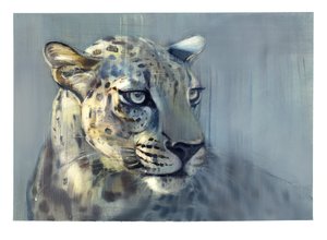 Predator II (Arabische Luipaard), 2009