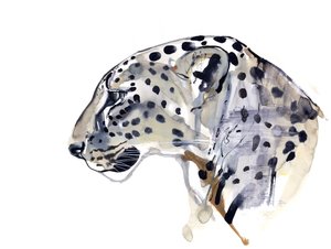 Profiel (Arabische luipaard), 2008 door Mark Adlington
