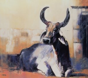 Heilige Koe, Bhuj, 1996 door Mark Adlington