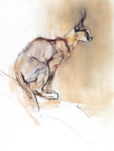 Zittende Caracal, 2009 door Mark Adlington