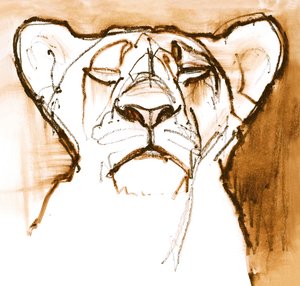 Sepia Welp, 2020