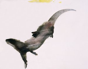 Slipstream
