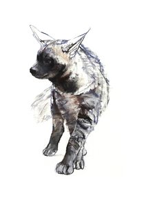 Gestreepte hyenapup, 2010 door Mark Adlington