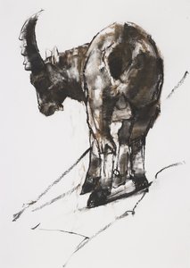 Zon, Crocheneville, 2005