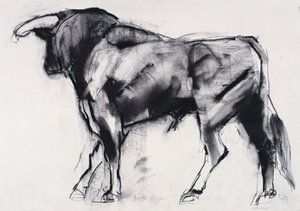 Toro Azul, studie door Mark Adlington