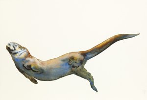 Fluweel, 2014