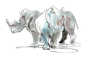 Witte Neushoorns, Mount Etjo door Mark Adlington