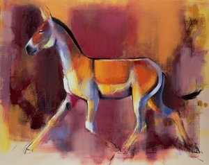 Wilde ezel, Rann van Kutch, 1996