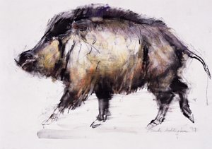 Wild Zwijn, 1999