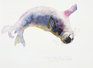 Jonge grijze zeehond, Gweek, 2003