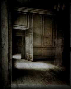 Gelambriseerde kamer met etherische figuur..., 2015 (foto) door Mark Gordon