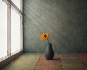 Stilleven met gouden bloem