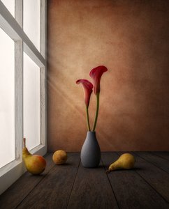  door Marko Klavs