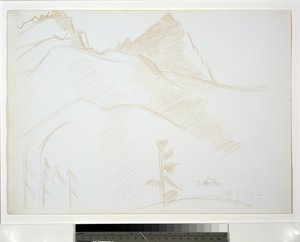 Berglandschap met Pijnbomen