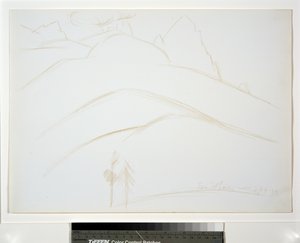 Berglandschap met twee dennenbomen