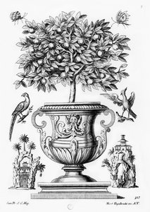 Citrusbomen, ca. 1735