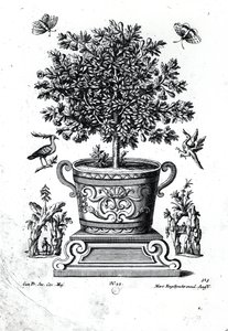 Sierboom in een urn op een klein podium